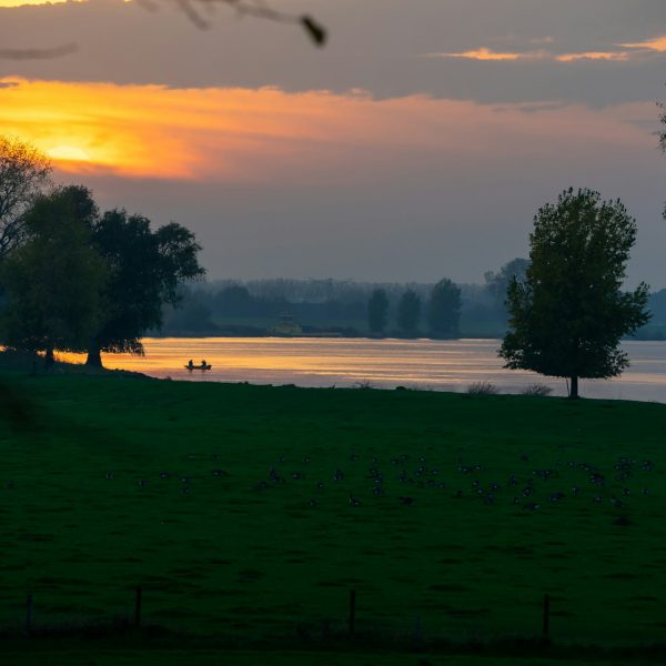 Senior-friendly riverside campsite along the Meuse with pitches near the water and surrounding greenery
