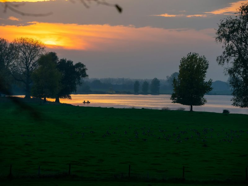 Senior-friendly riverside campsite along the Meuse with pitches near the water and surrounding greenery