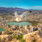 Why choose a tennis trip?