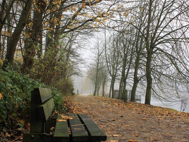 Outdoor view of Hotel de Beyaerd surrounded by Veluwe woodland