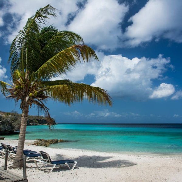 rental car parked near a tropical beach on curaçao with turquoise sea and palm trees