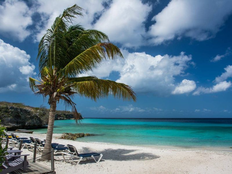 rental car parked near a tropical beach on curaçao with turquoise sea and palm trees
