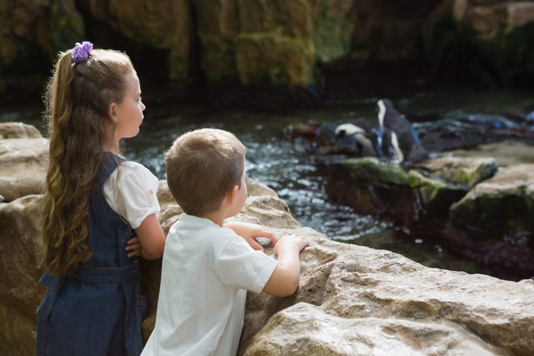 natuurvakanties met kinderen