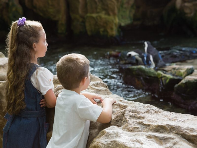 natuurvakanties met kinderen