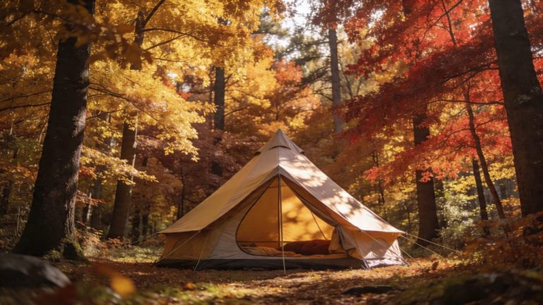 Autumn camping in the Netherlands with a full experience