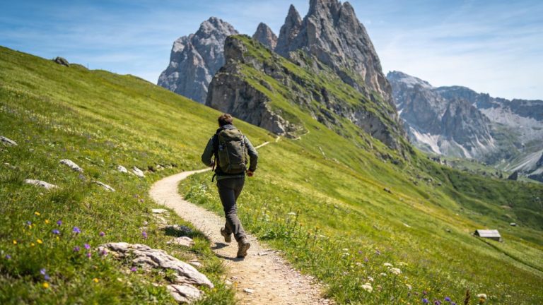Walking holidays in the Alps in June and July